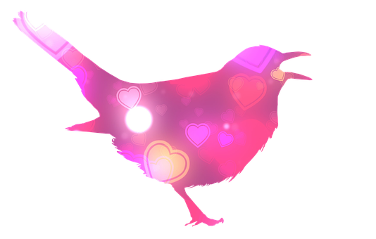 Glowing Heart Bird Silhouette PNG Image