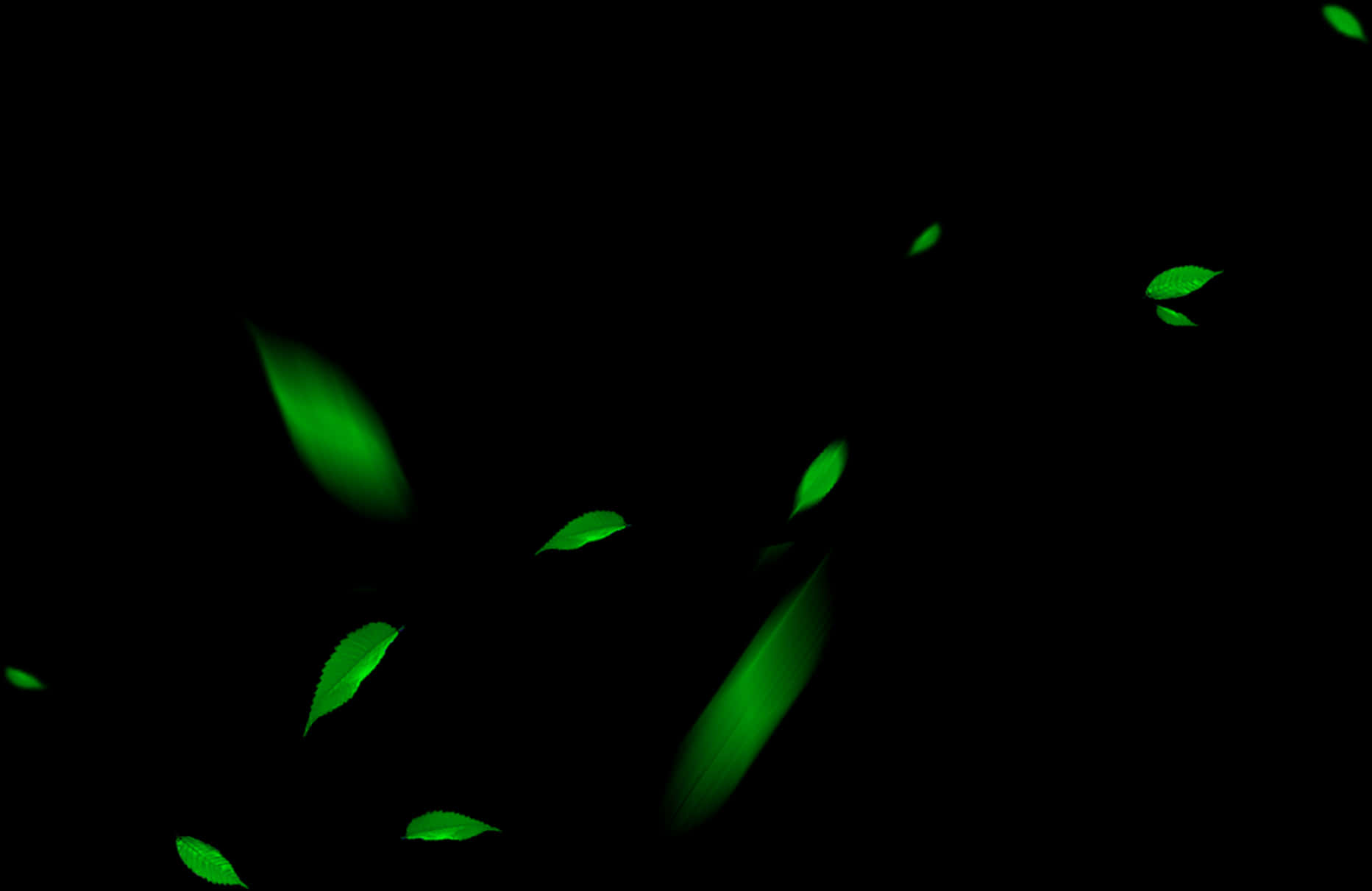 Glowing Leavesin Darkness PNG Image