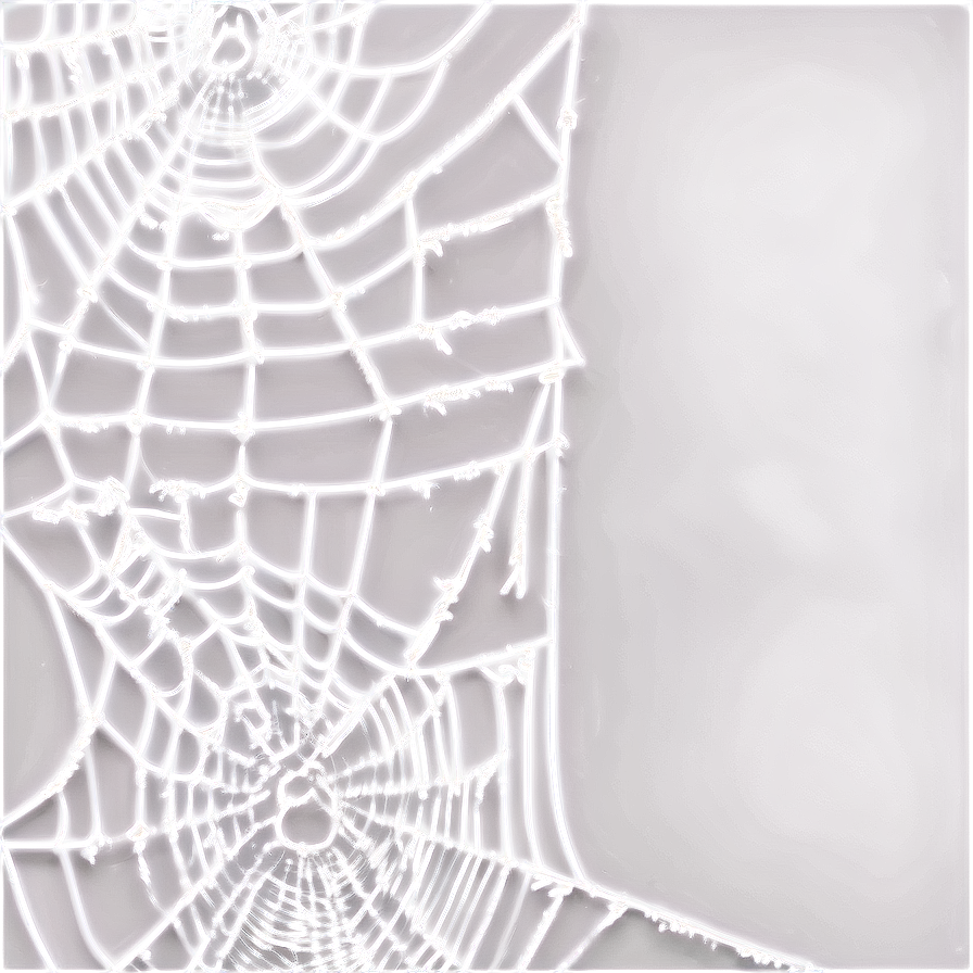 Glowing Spider Web Night PNG Image