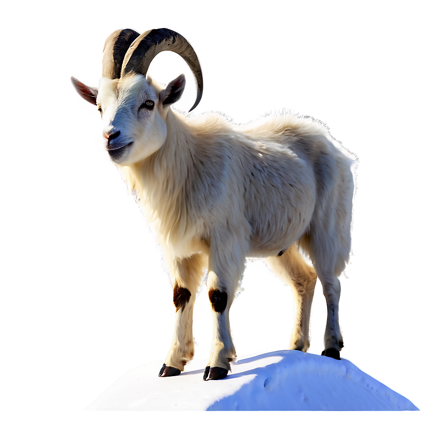 Goat On Mountain Png 34 PNG Image