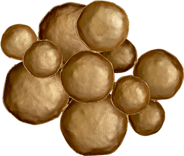 Golden Abstract Circles Wall Art PNG Image