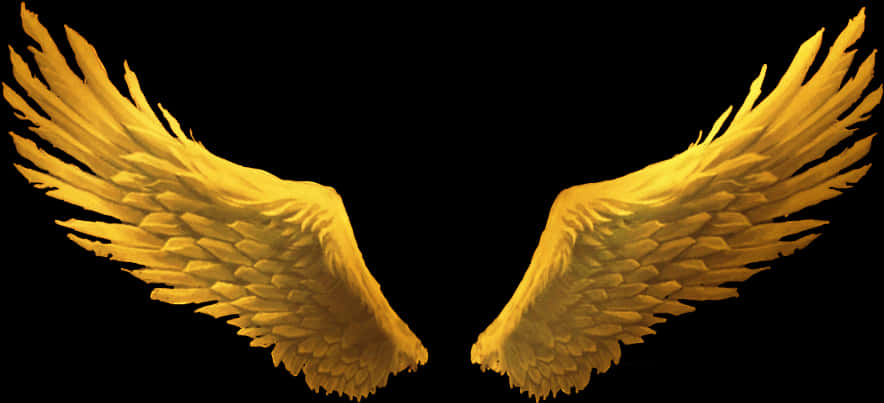 Golden_ Angel_ Wings_ Illustration PNG Image