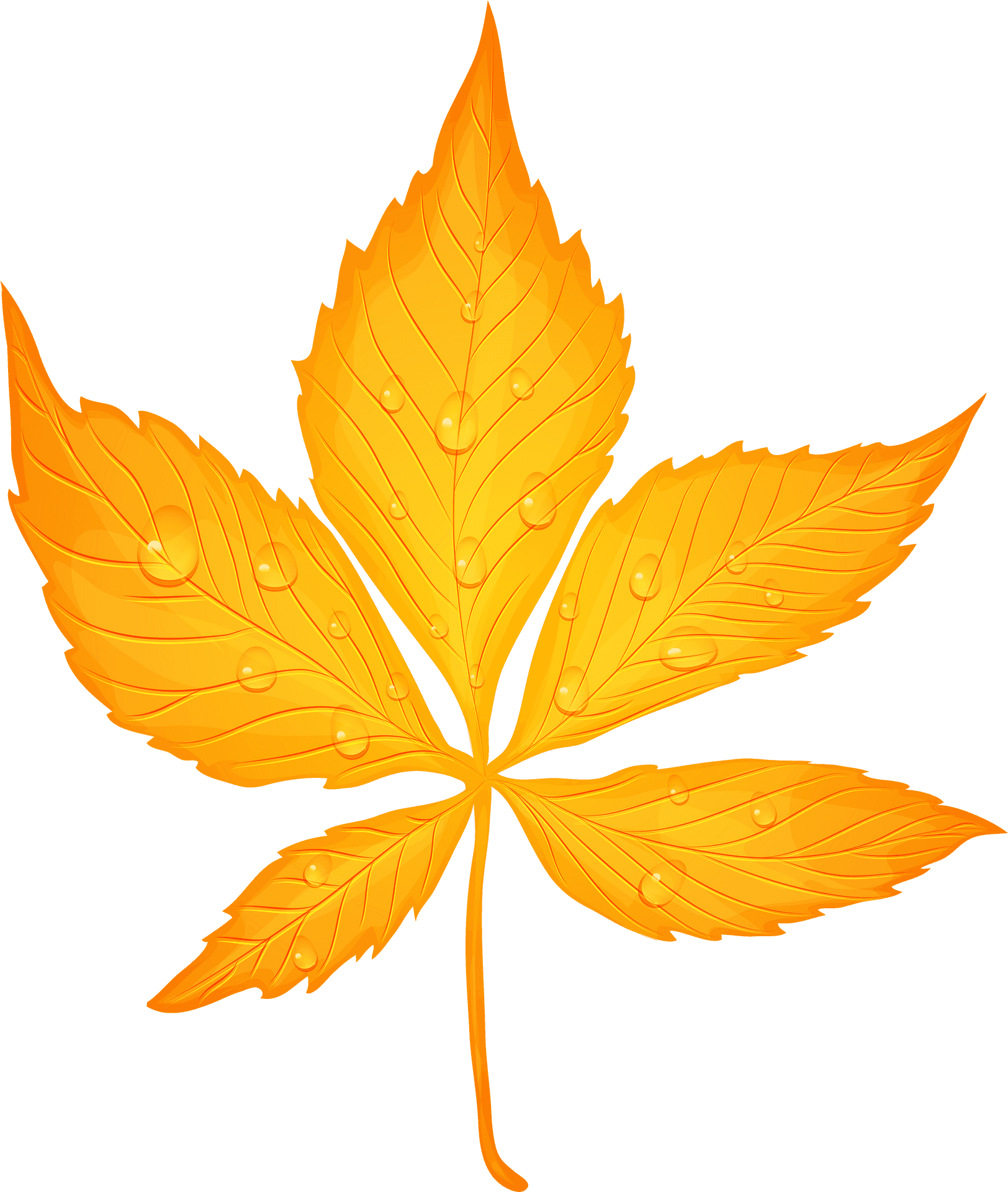 Golden Autumn Leafwith Dew Drops PNG Image