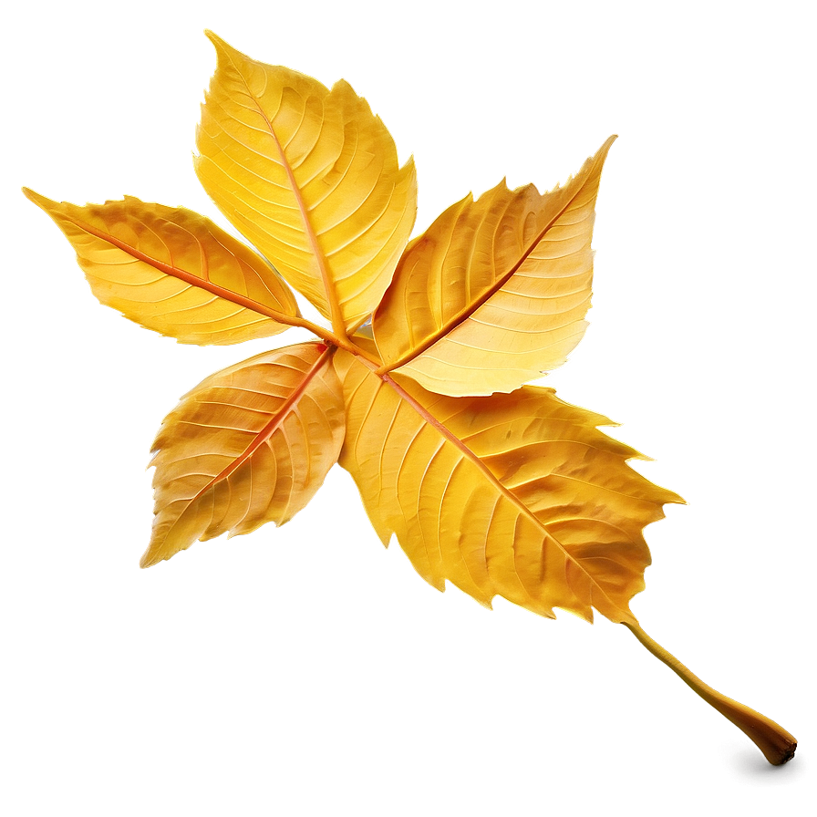 Golden Autumn Leaves Png Adb PNG Image