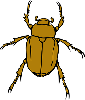 Golden Beetle Silhouette PNG Image