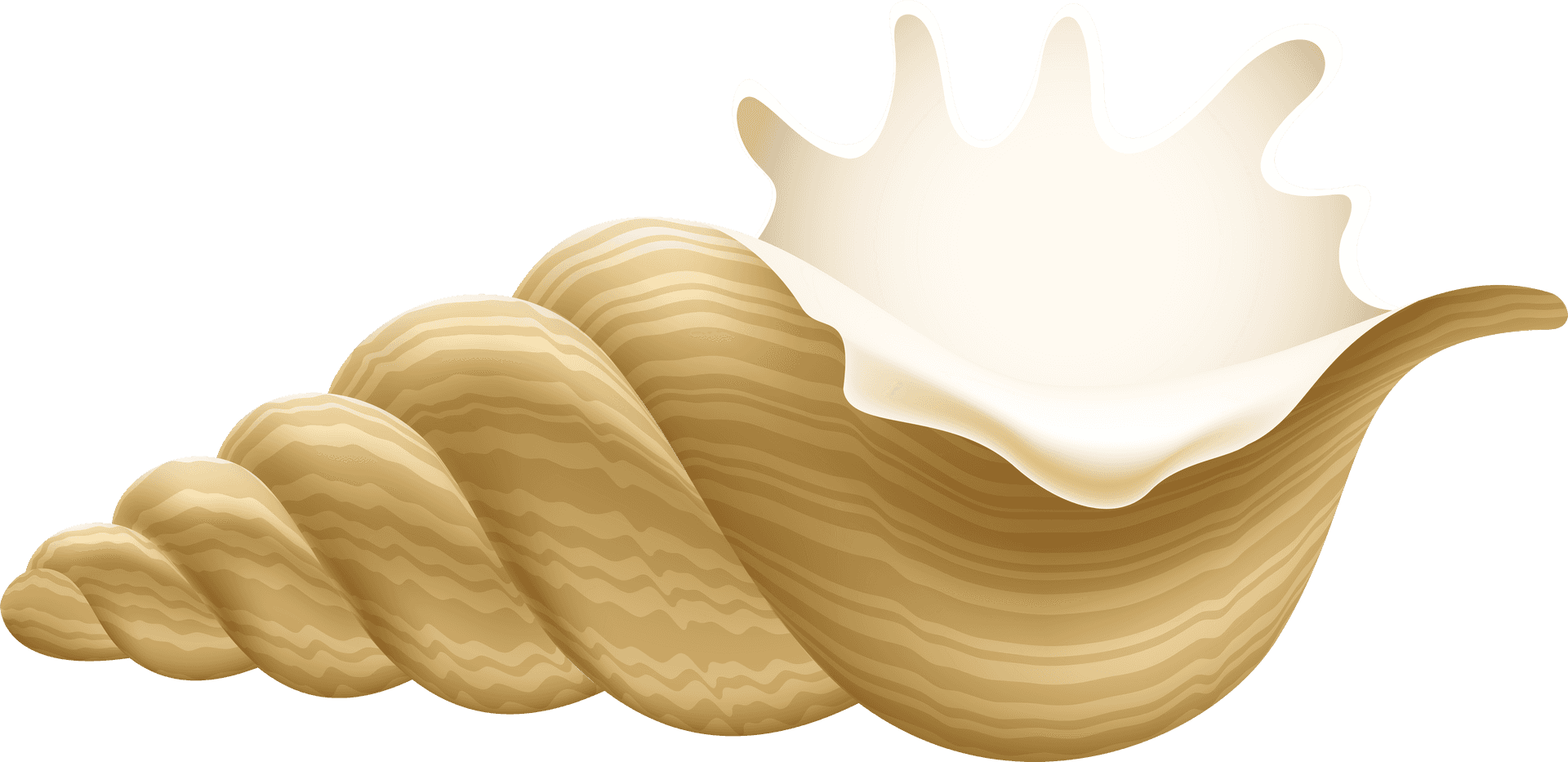 Golden Conch Shell Illustration PNG Image