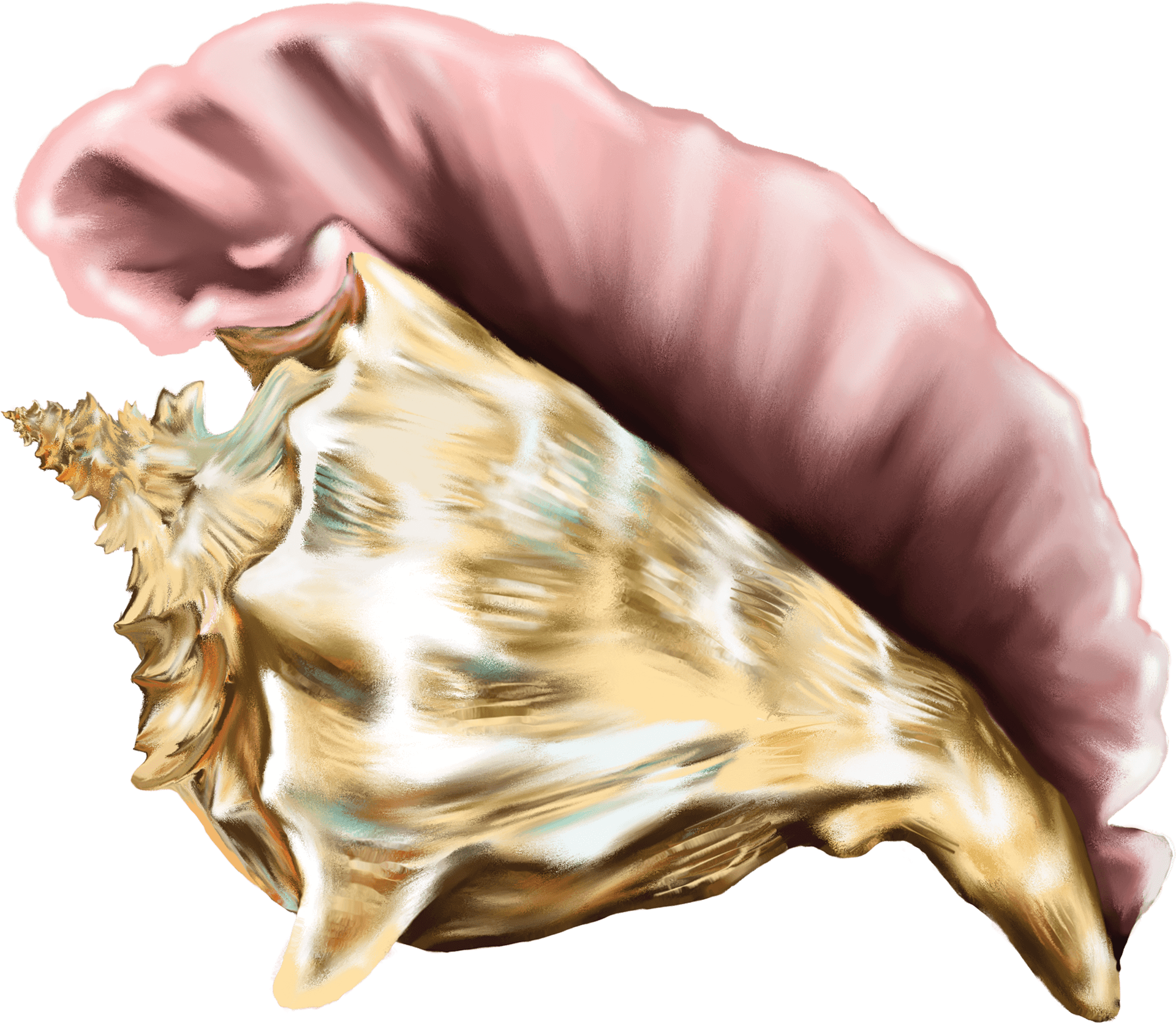 Golden Conchin Hand PNG Image