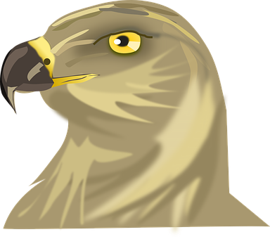 Golden Eagle Portrait Illustration PNG Image