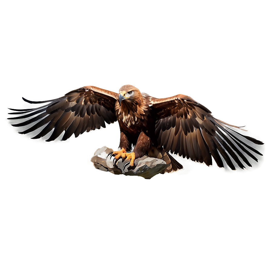 Golden Eagle With Mountain Backdrop Png Gvu10 PNG Image