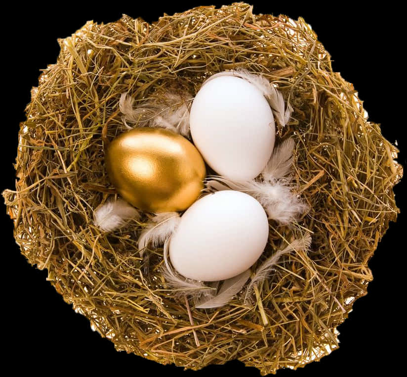 Golden Eggin Nest.jpg PNG Image