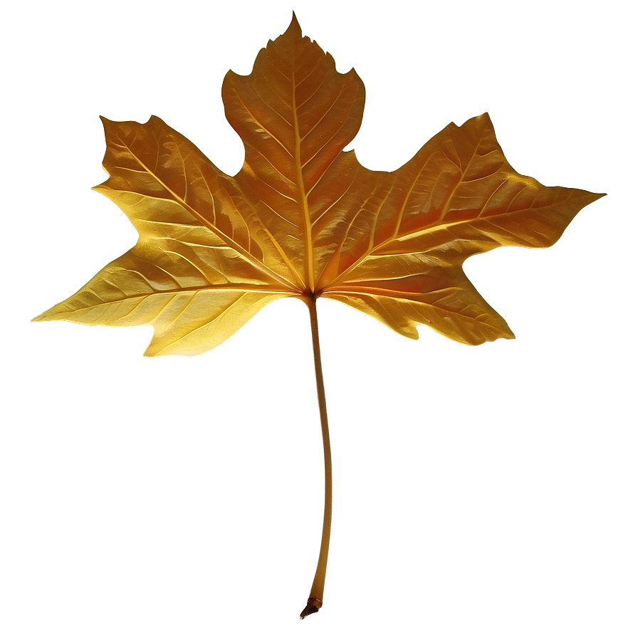 Golden Fall Leaf Png Urd69 PNG Image