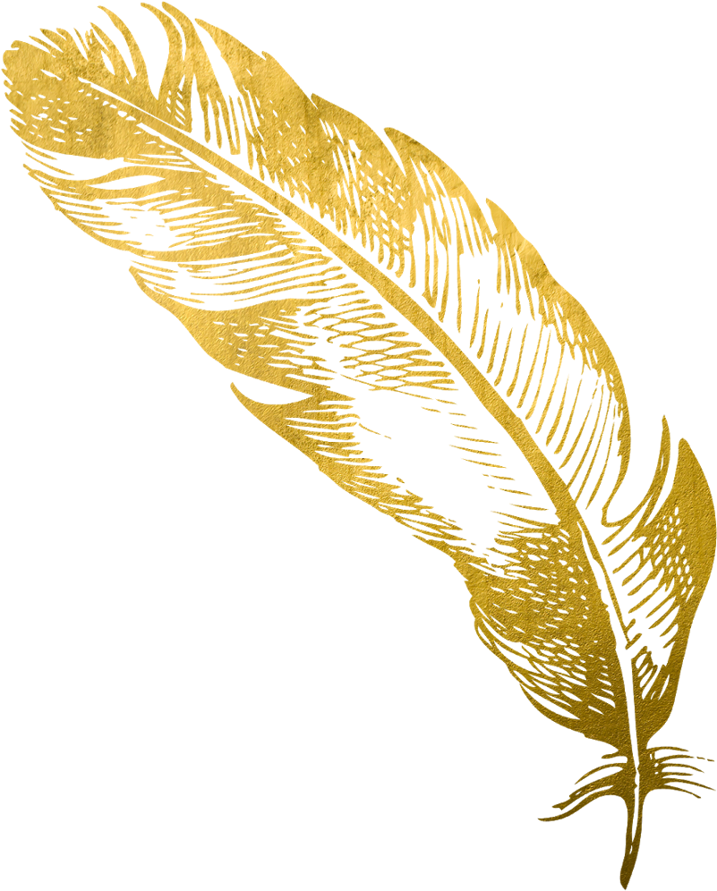 Golden Feather Pen Illustration PNG Image