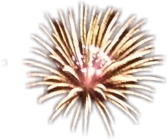 Golden Firework Explosion Night Sky PNG Image