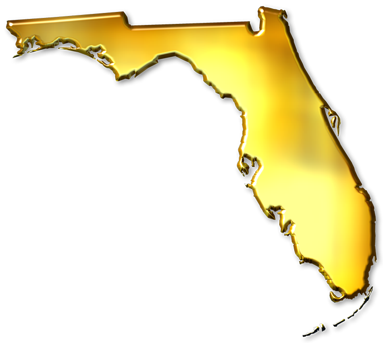 Golden Florida Map3 D Render PNG Image