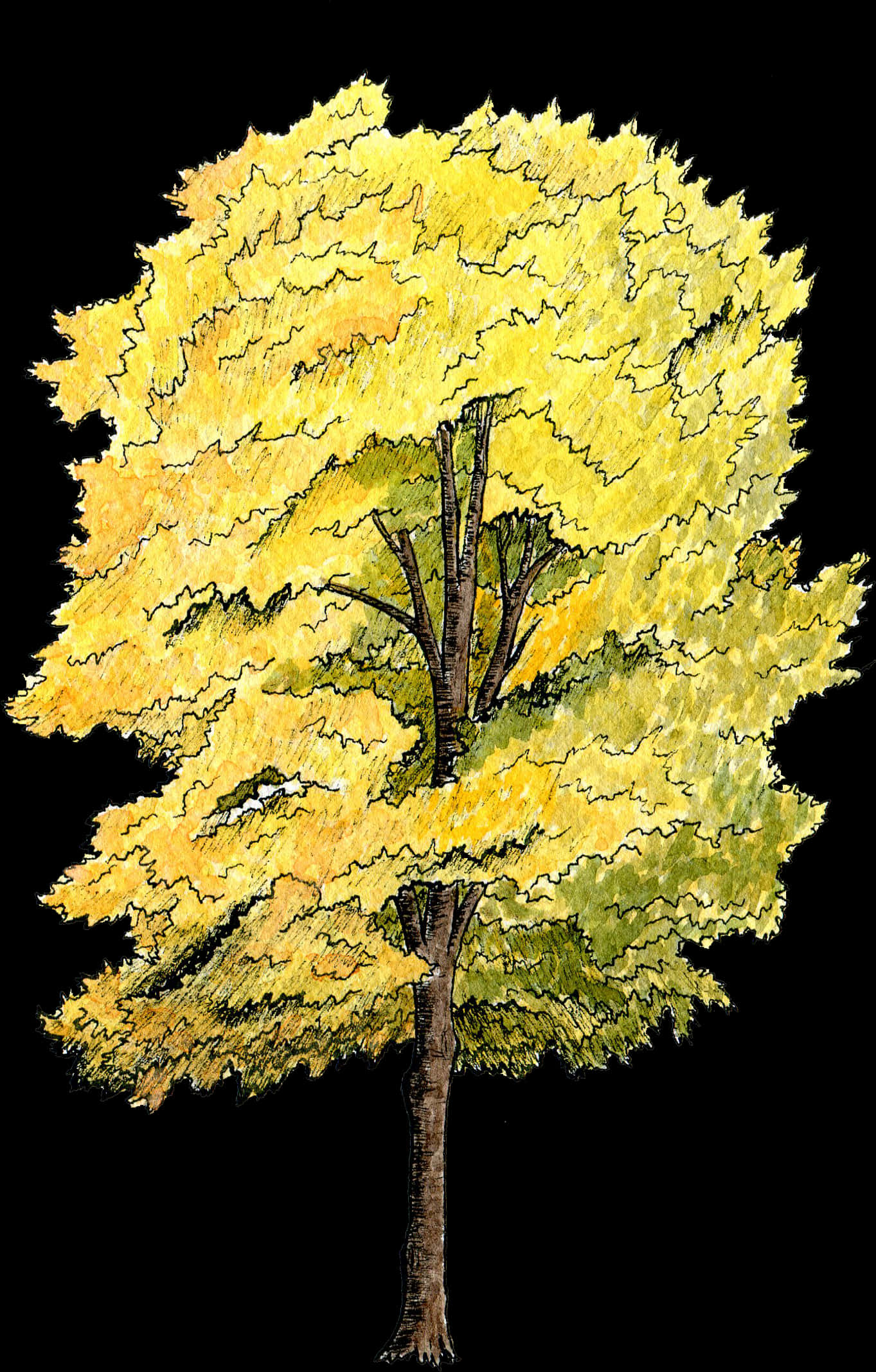 Golden Foliage Tree Illustration PNG Image