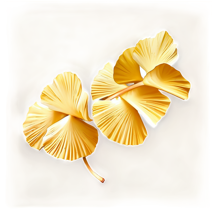 Golden Ginkgo Leaves Png Tbe PNG Image