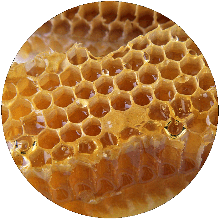 Golden Honeycomb Texture PNG Image