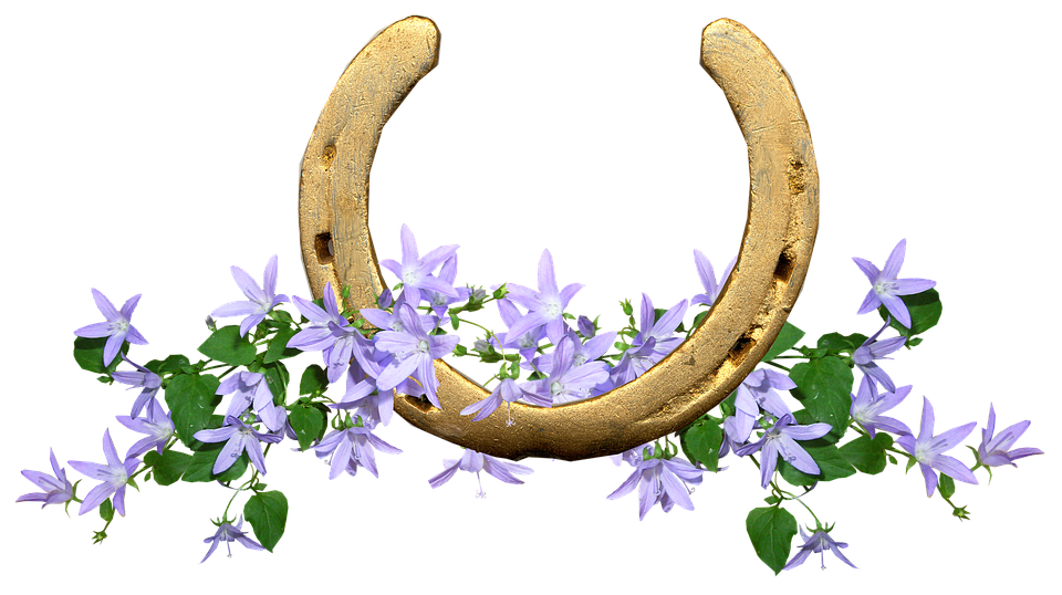 Golden Horseshoewith Purple Flowers PNG Image