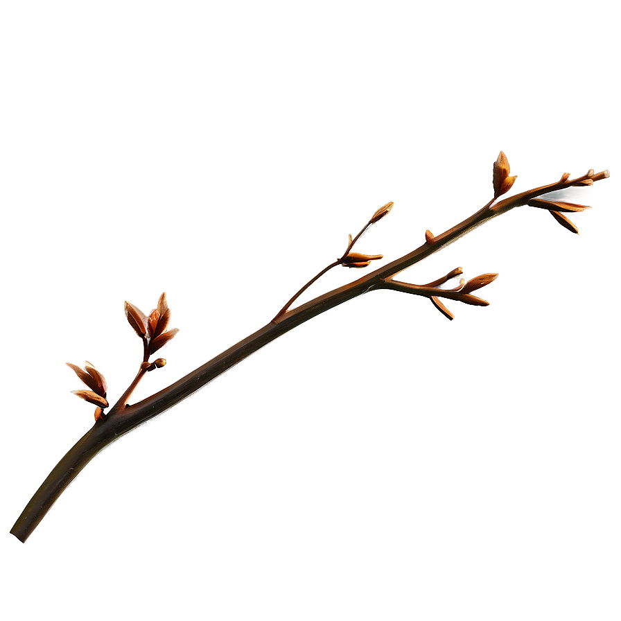 Golden Hour Twig Png 06132024 PNG Image