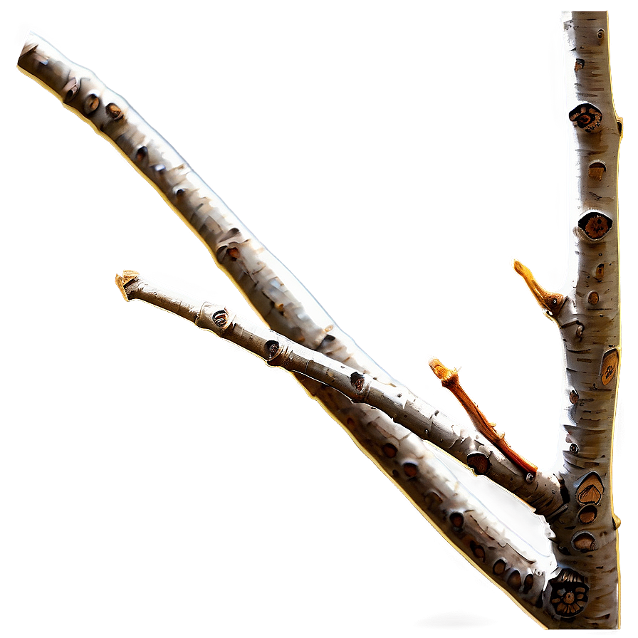 Golden Hour Twig Png 06132024 PNG Image