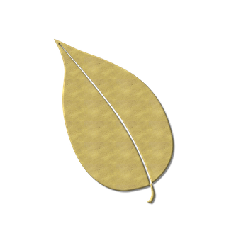 Golden Leafon Black Background PNG Image