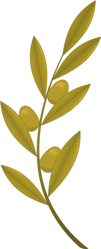 Golden Olive Branch Illustration PNG Image