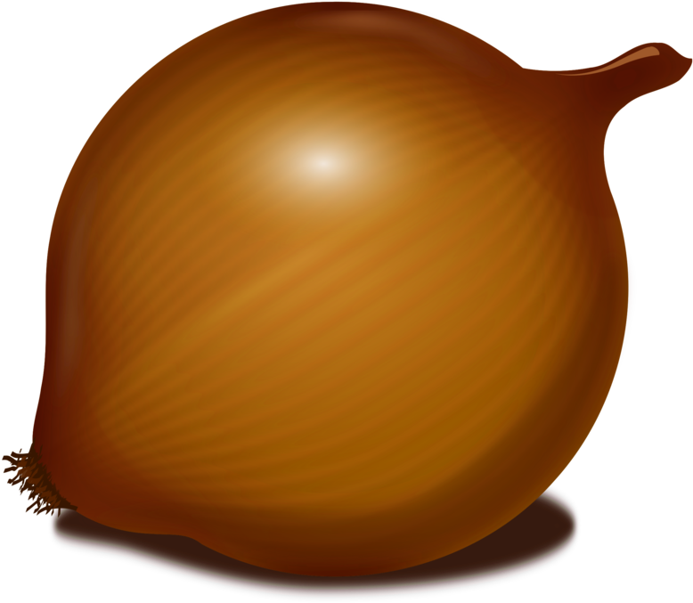 Golden Onion Illustration PNG Image