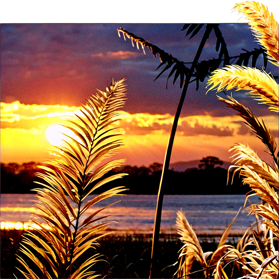 Golden Pampas Sunset Png 12 PNG Image