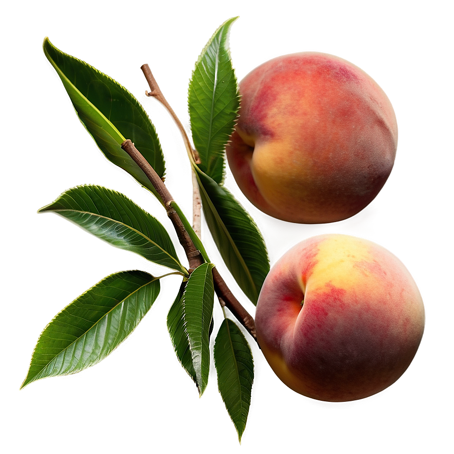 Golden Peach Glow Png Oll97 PNG Image