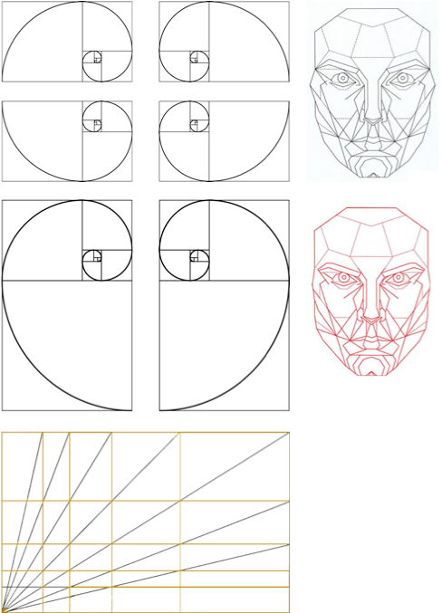 Golden Ratio Facial Geometry Illustration PNG Image