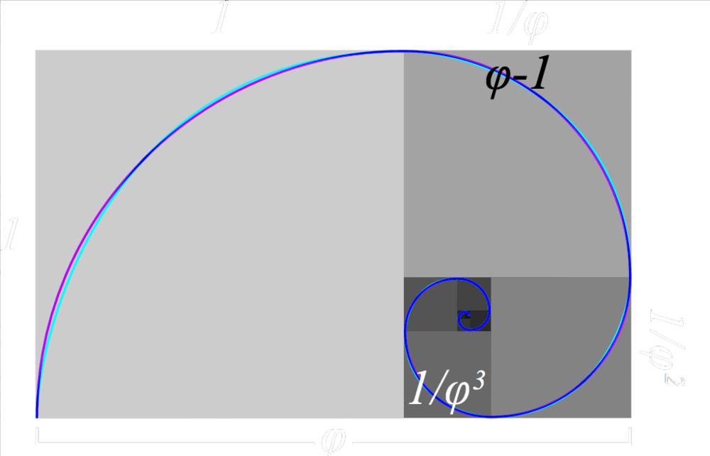 Golden Ratio Fibonacci Spiral PNG Image