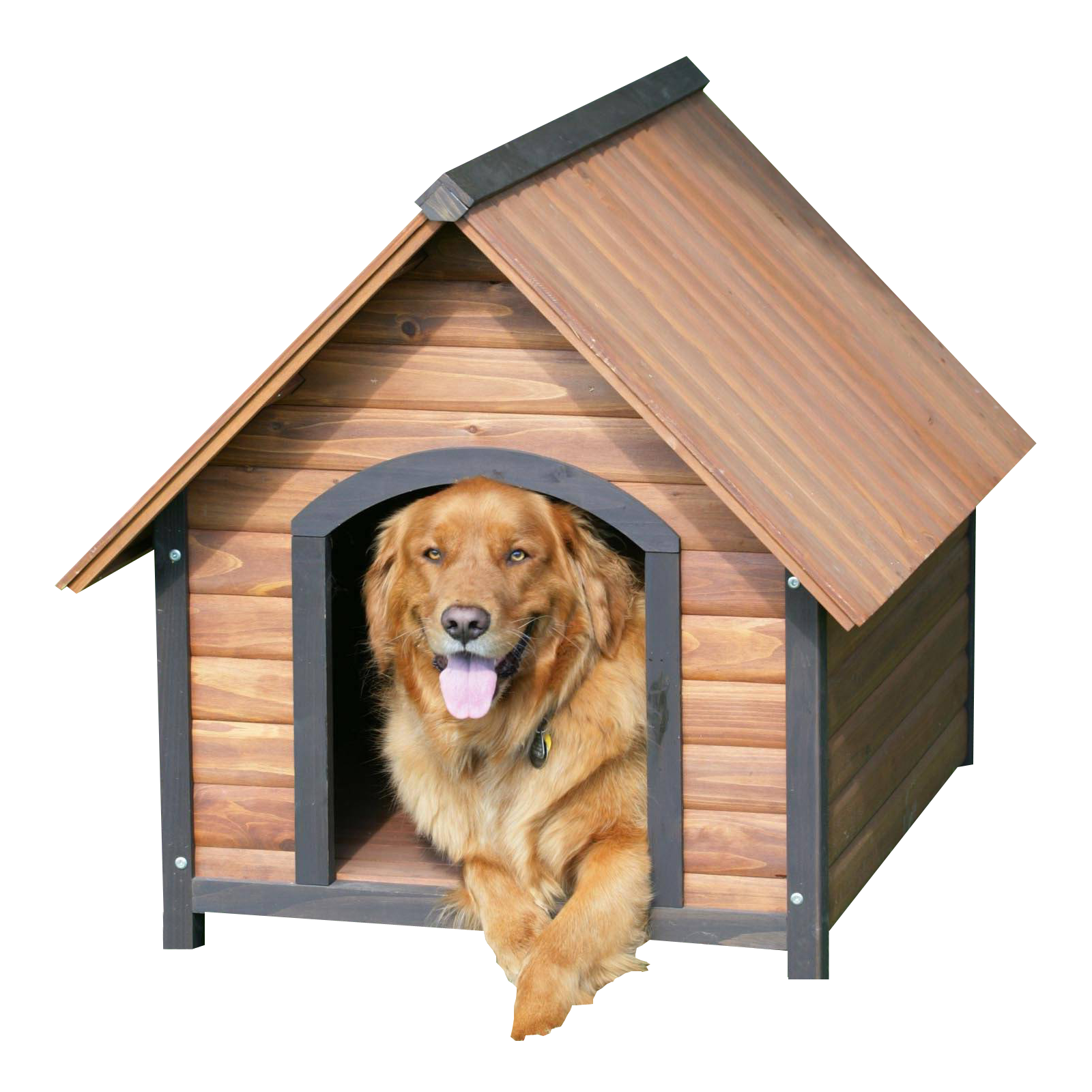 Golden Retriever In Doghouse.png PNG Image