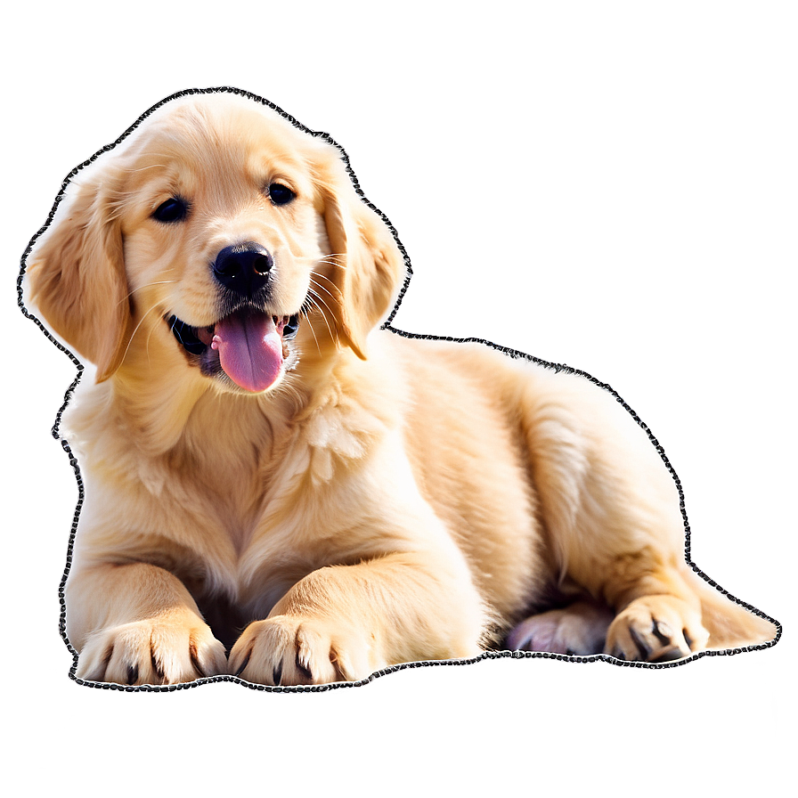 Golden Retriever Puppy On Beach Png 67 PNG Image