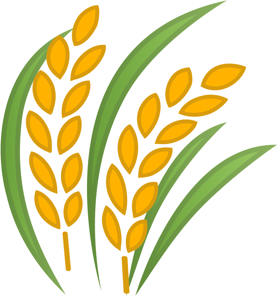 Golden Rice Stalks Illustration PNG Image