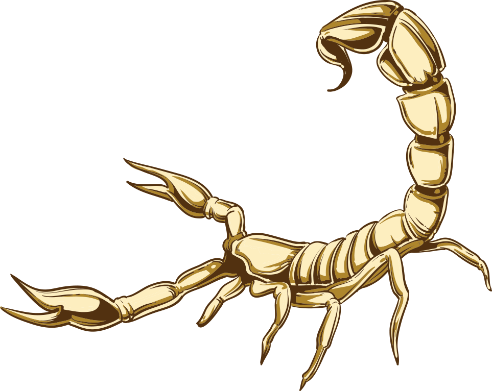 Golden Scorpion Illustration PNG Image