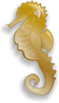 Golden Seahorse Illustration PNG Image