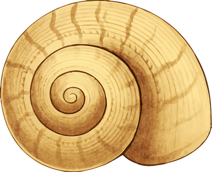 Golden Spiral Seashell PNG Image