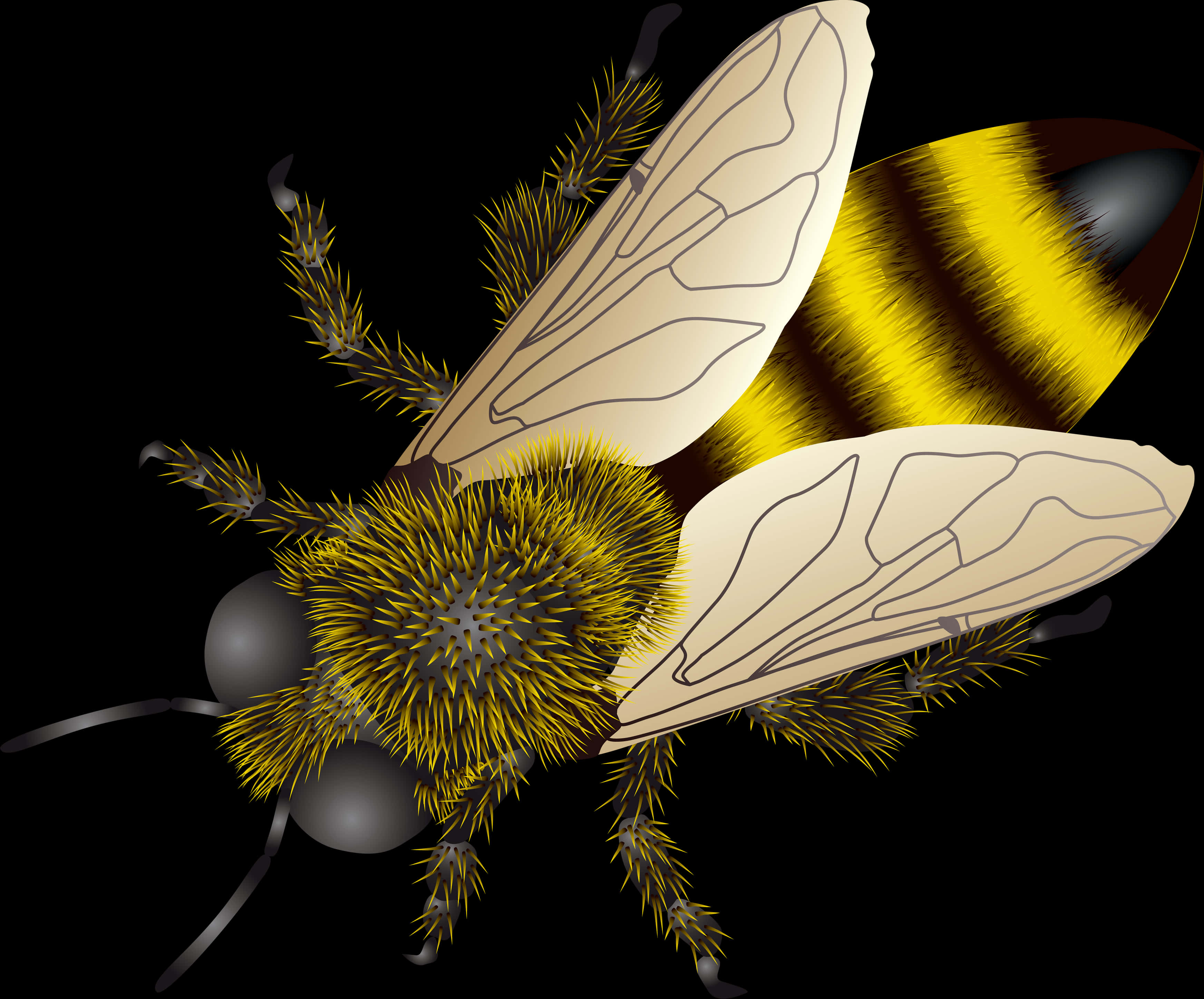 Golden Striped Bee Illustration PNG Image