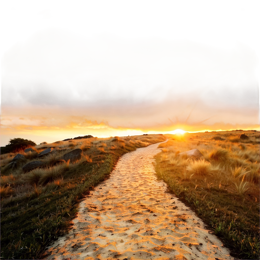 Golden Sunset Path Png 12 PNG Image