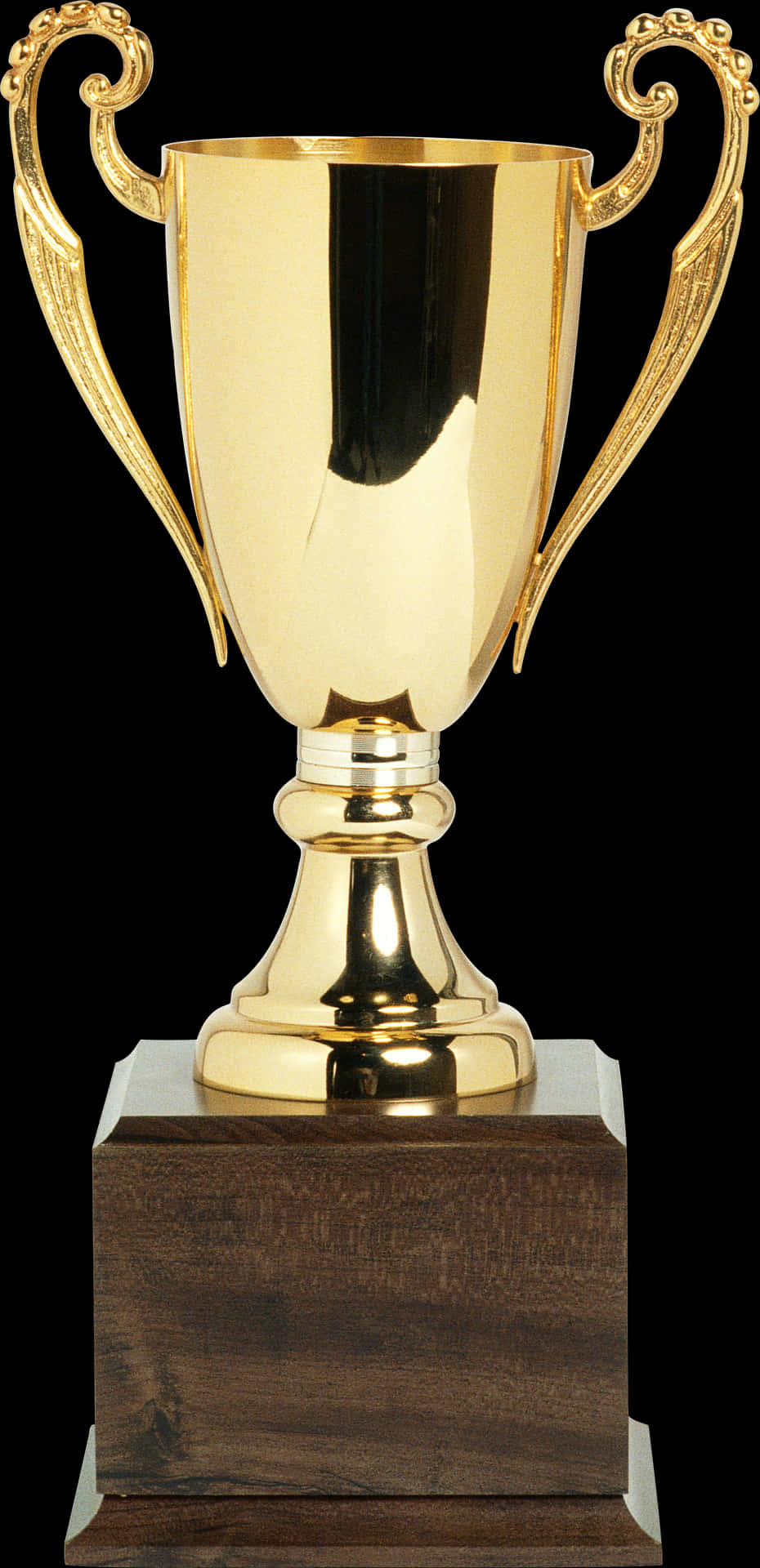 Golden Trophyon Wooden Base.jpg PNG Image