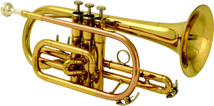 Golden Trumpet Isolatedon White PNG Image