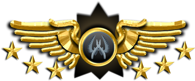 Golden Winged Badgewith Stars PNG Image