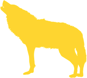 Golden Wolf Silhouette PNG Image