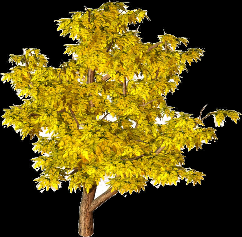 Golden Yellow Autumn Tree PNG Image