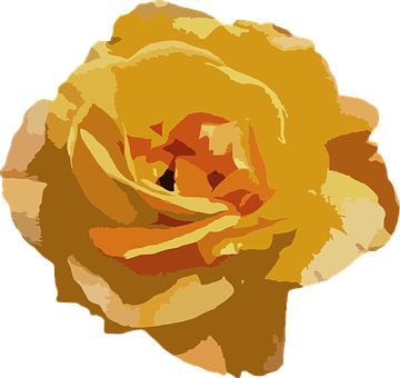 Golden Yellow Rose Vector Art PNG Image