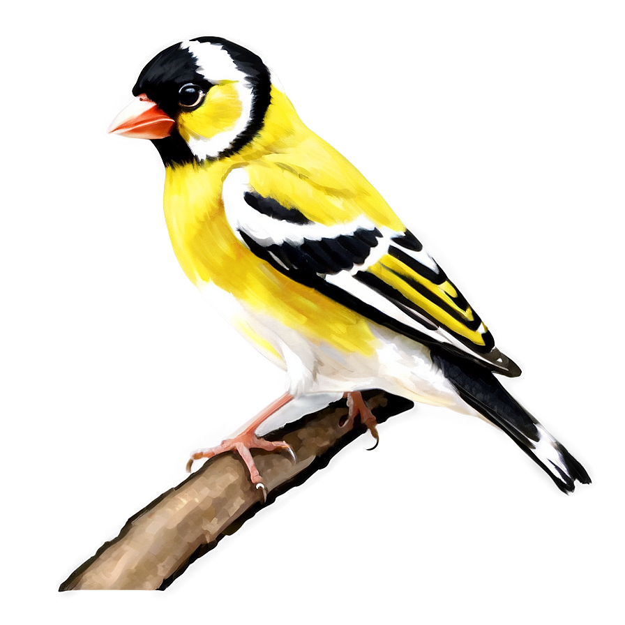 Goldfinch Bird Yellow Png 05032024 PNG Image