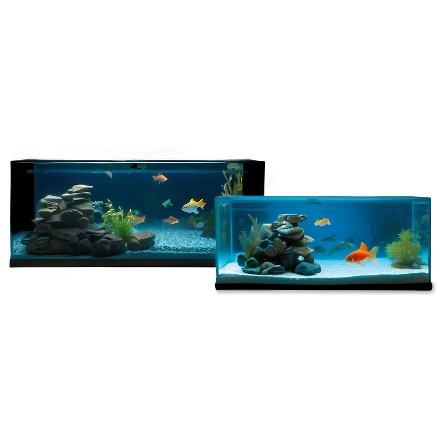 Goldfish Tank Png 88 PNG Image