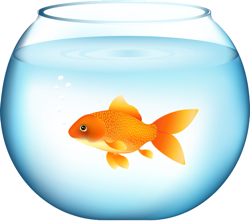 Goldfishin Bowl Illustration PNG Image