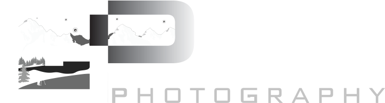 Goldpaint Photography Logo PNG Image