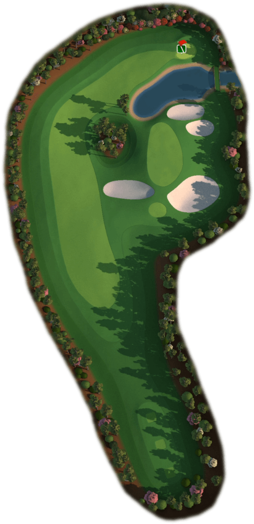 Golf Course Green Aerial View PNG Image